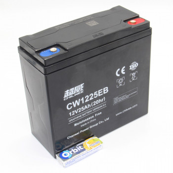Тягова АКБ CHILWEE CW1225EB 12V25Ah