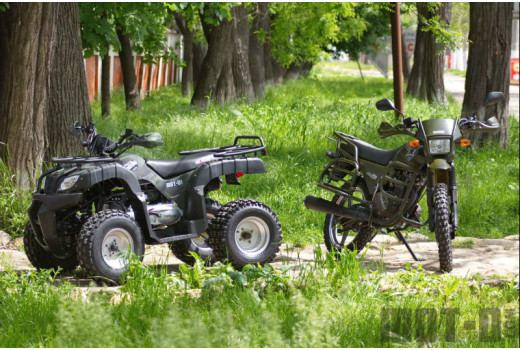 Поступление Shineray: Forester и квадроциклы Hardy