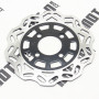 Диск гальмівний задній MT250GY-AD1 (Challenge GT250)