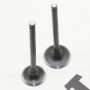 Клапана (впуск+выпуск) 176FMN KOVI 300-4Т (ADT300)