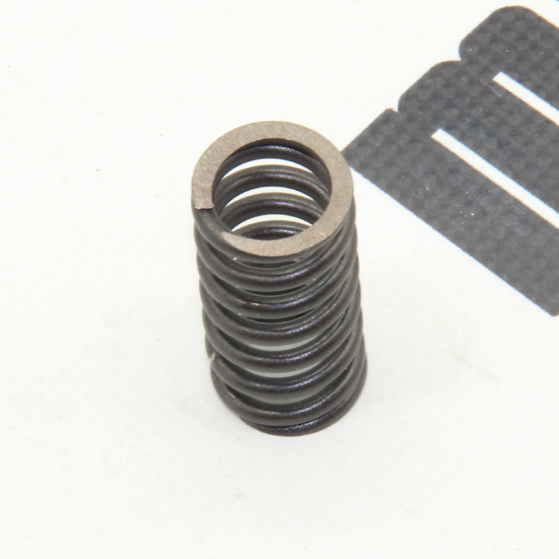 Пружина корзини зчеплення (1шт.) KOVI NC250-4Т PRO