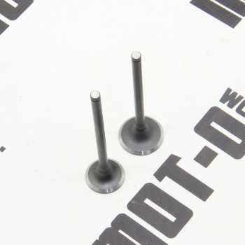 Клапана (впуск+выпуск) 171FMM KOVI 250-4Т (FE250 ADVANCE)