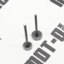 Клапана (впуск+випуск) 171FMM KOVI 250-4Т (FE250 ADVANCE)