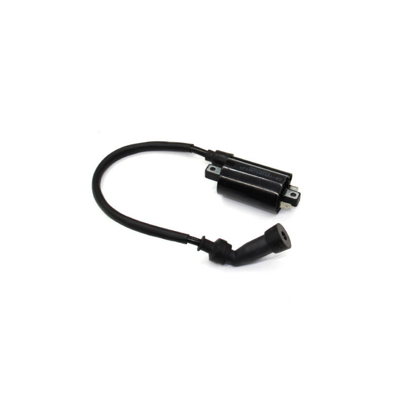 Котушка запалювання LF200-10B (NBF-2)