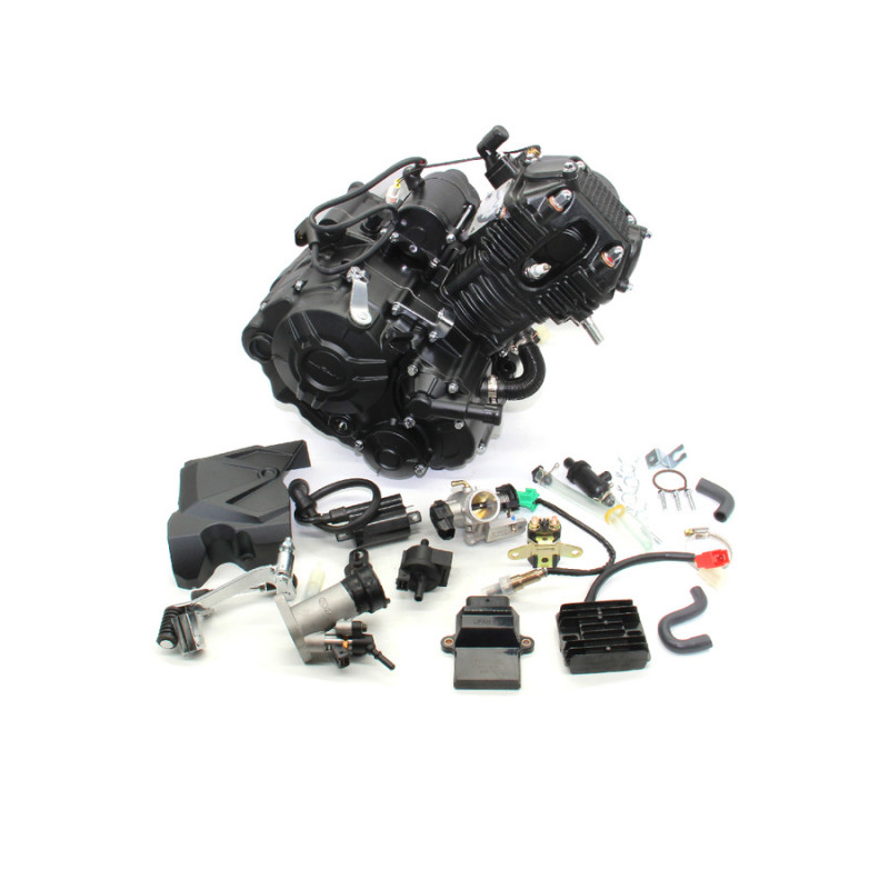 Двиг. в сборе 165ML-E, NBF2 EFI 9.0 (LF200-10L)