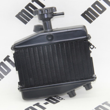 Радіатор охолодж., правий LF250-10LV (KPT 250)