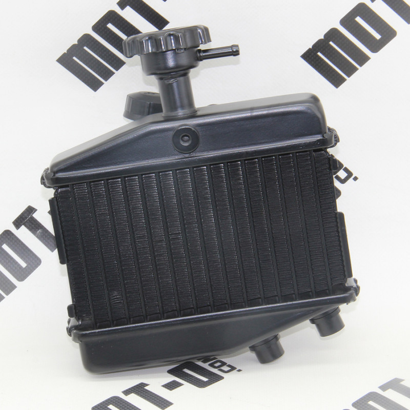 Радіатор охолодж., правий LF250-10LV (KPT 250)