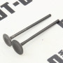 Клапана (впуск+выпуск) LF250-10S (KPR 250)