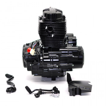 Двигун у зборі 162FMJ-2 МТ150-8 REGION