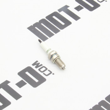 Свеча зажигания TORCH D8RTC МТ200-8 REGION