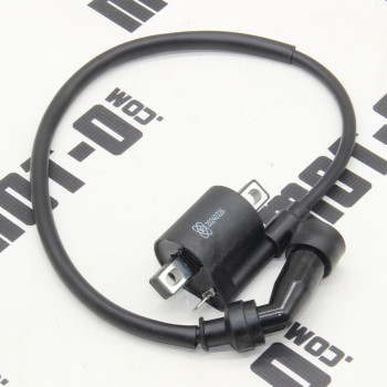 Котушка запалювання MT250-9R REGION