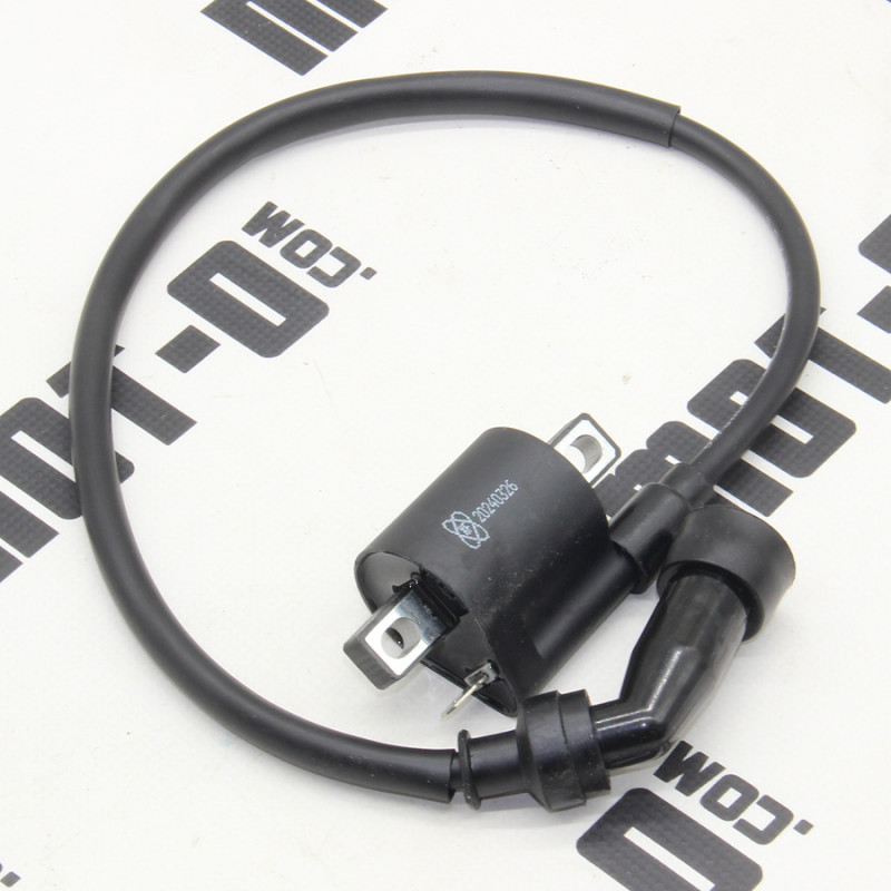 Котушка запалювання MT250-9R REGION