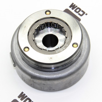 Ротор статора (магніт) MT250GY-8 (Grader 250)