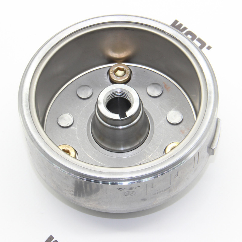 Ротор статора (магніт) MT250GY-8 (Grader 250)