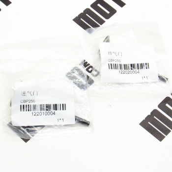 Клапана (впуск+випуск) MT250GY-8 (Grader 250)