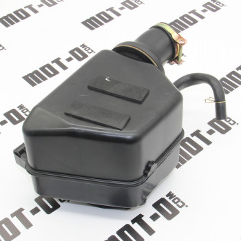 Воздушный фильтр в сборе RTS250-N (Xtreet 250)