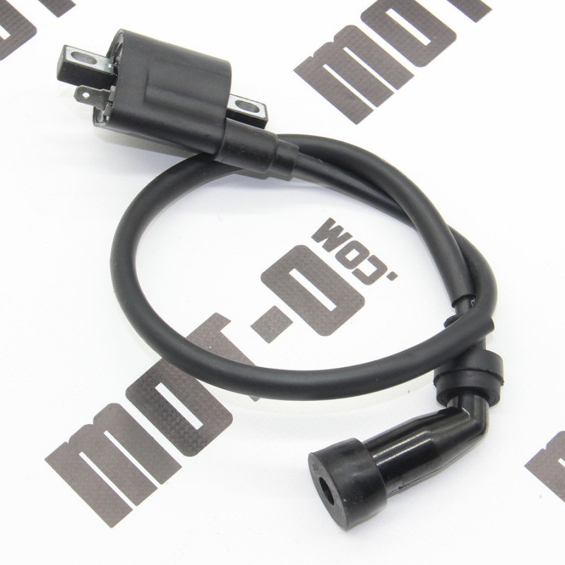 Котушка запалювання RTS250-N (Xtreet 250)
