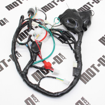 Провід центральний RTS250-N (Xtreet 250)