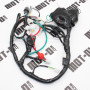 Проводка центральная RTS250-N (Xtreet 250)