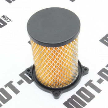 Елемент повітряного фільтра XY250GY-15С (Tricker)