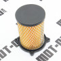 Элемент воздушного фильтра XY250GY-15С (Tricker)