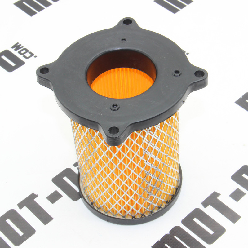 Елемент повітряного фільтра XY250GY-15С (Tricker)