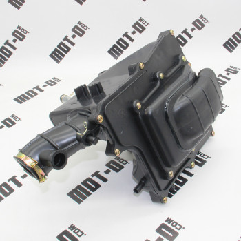 Воздушный фильтр в сборе XY200-24 (DS200)
