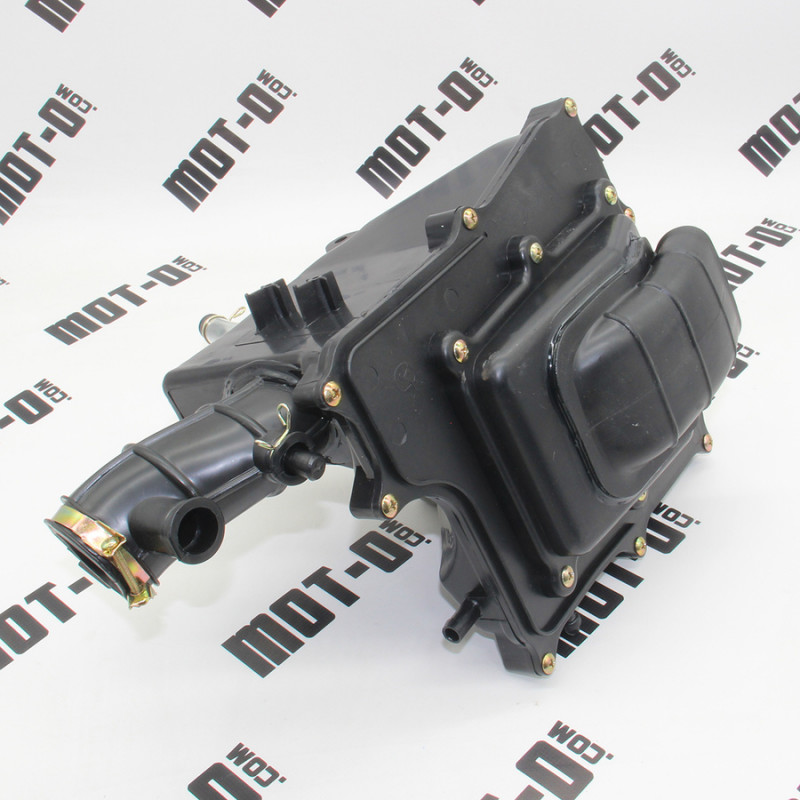 Воздушный фильтр в сборе XY200-24 (DS200)