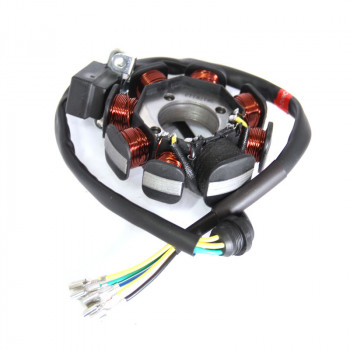 Статор ротора (генератор) Shineray XY200GY-4