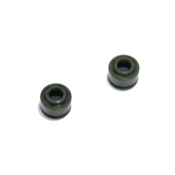 Маслознімні ковпачки (2шт) Shineray XY200GY-4
