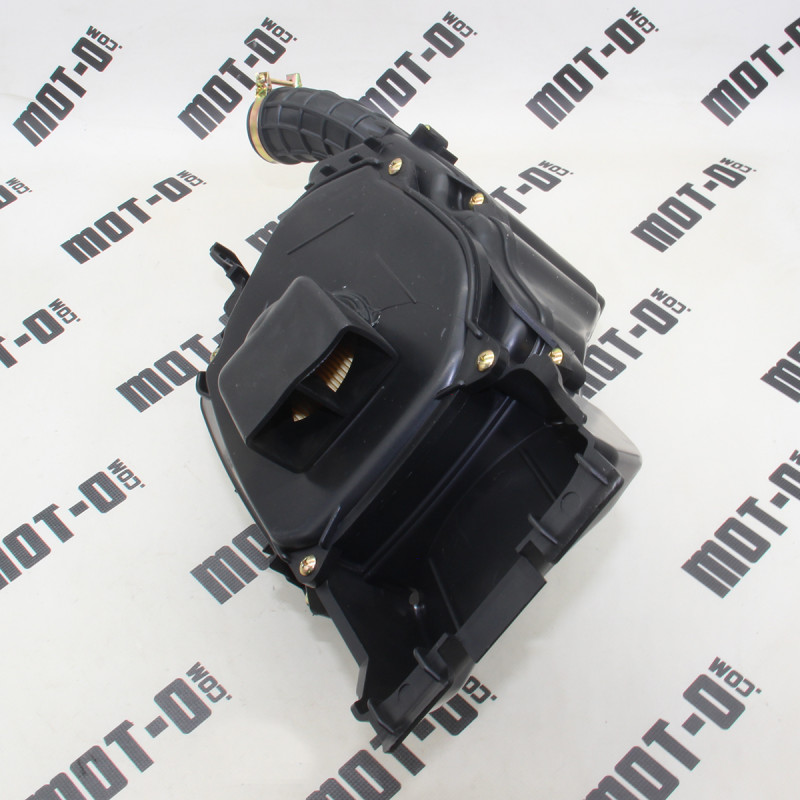 Повітряний фільтр у зборі XY200GY-6C (VXR 200)