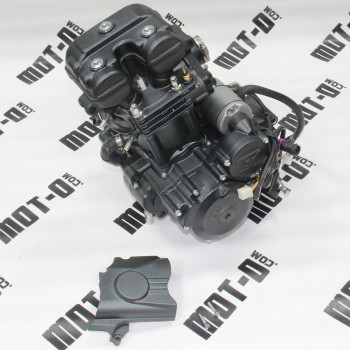 Двигун у зборі 170MM (вод. охл) Shineray XY250-3A (Z1)