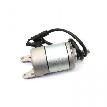 Стартер у зборі Shineray XY250-3A (Z1)