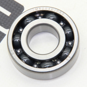 Підшипник TM6204E P53 XY250GY-6C (СXR 250)