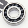 Підшипник TM6204E P53 XY250GY-6C (СXR 250)