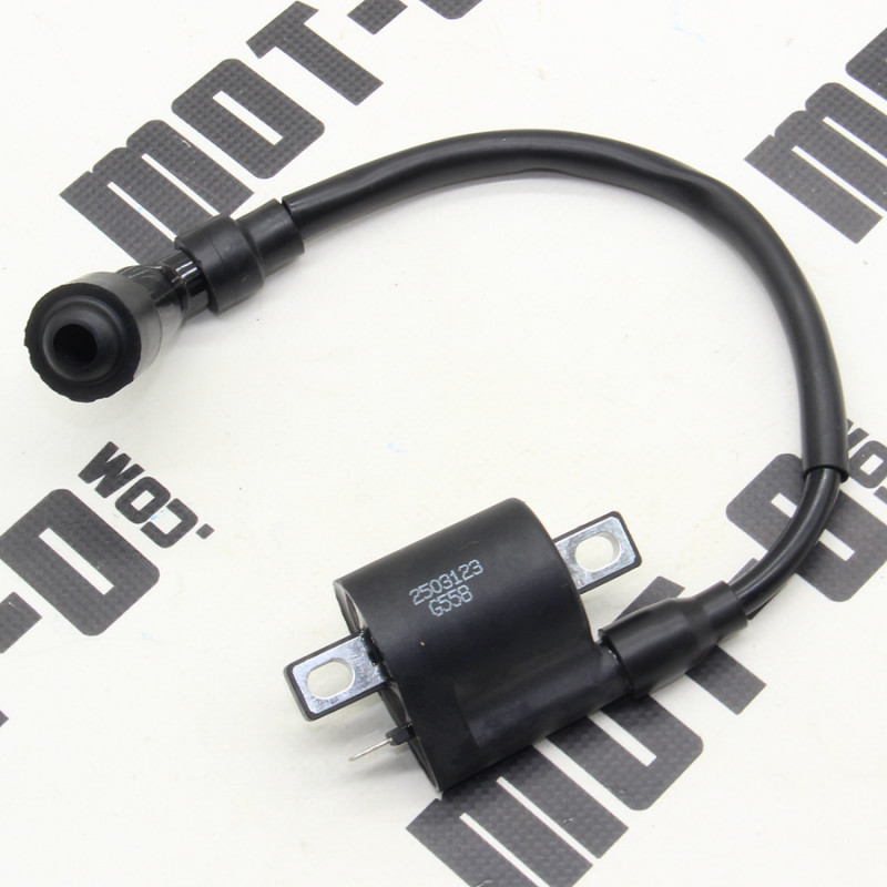 Котушка запалювання XY250GY-6C (СXR 250)