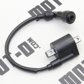 Котушка запалювання XY300GY-6C (VXR 300)