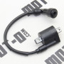 Котушка запалювання XY300GY-6C (VXR 300)