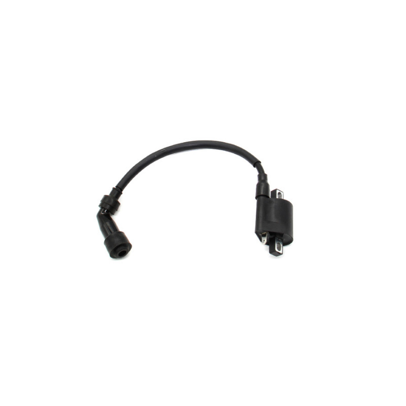 Котушка запалювання XY400GY-3 (Elcrosso 400)