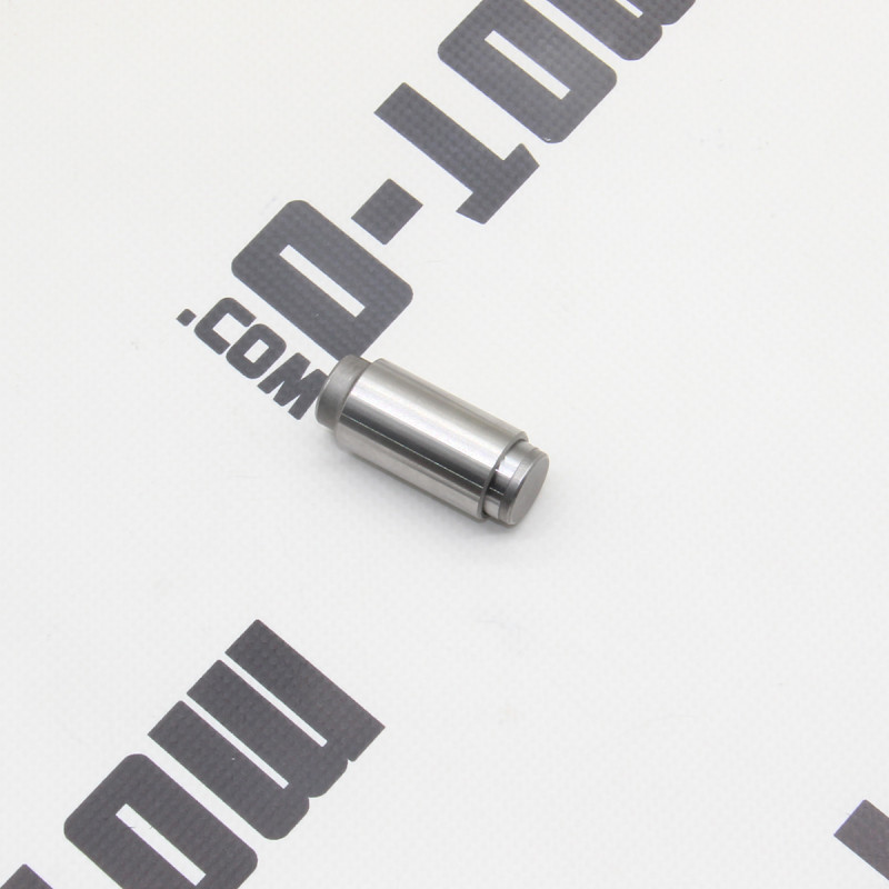 Натягувач ланцюга ГРМ ZS178MM-2 (NX250)