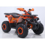 Квадроцикл ORiX 125