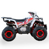 Квадроцикл ORiX 125  B/S (balance shaft)