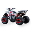Квадроцикл ORiX 125  B/S (balance shaft)