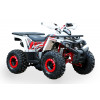 Квадроцикл ORiX 125  B/S (balance shaft)
