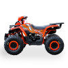 Квадроцикл ORiX 150
