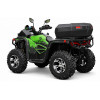 Квадроцикл QUADRATERRA 300 4x4