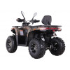 Квадроцикл  SHARX 250
