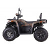 Квадроцикл  SHARX 250