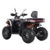 Квадроцикл  SHARX 250