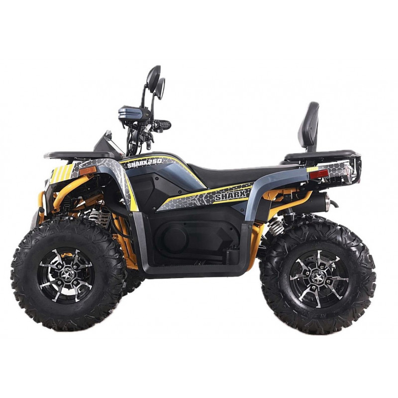 Квадроцикл  SHARX 250